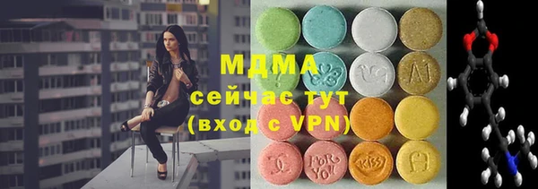 шишки Белокуриха