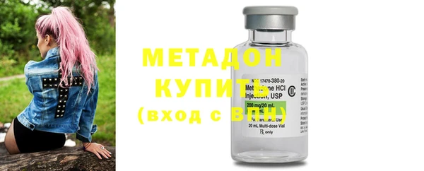шишки Белокуриха