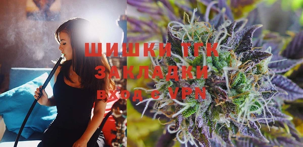 шишки Белокуриха