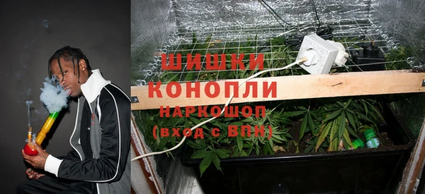 mdma Тайга
