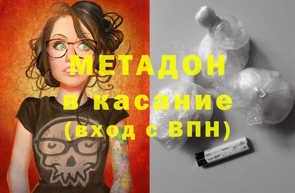 шишки Белокуриха