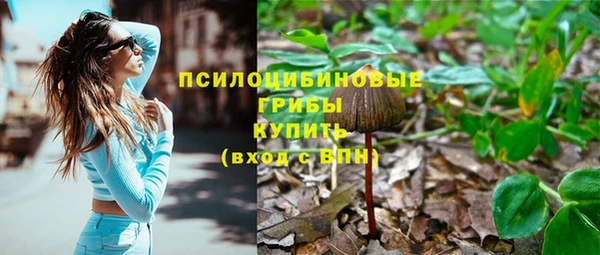 молекула духа Беломорск