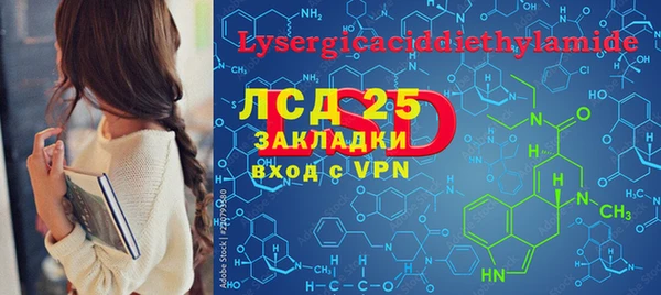 шишки Белокуриха