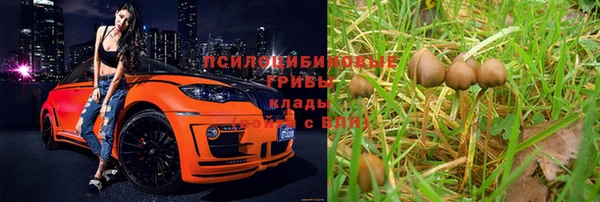 гидра Тавда