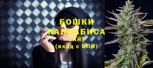 шишки Белокуриха