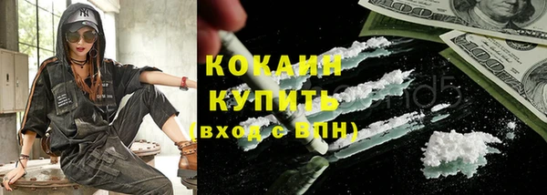 шишки Белокуриха
