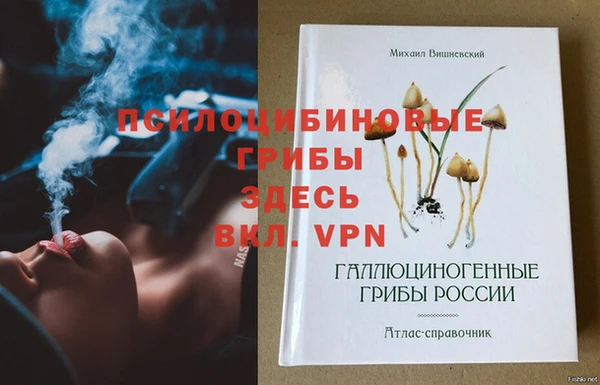 молекула духа Белоозёрский