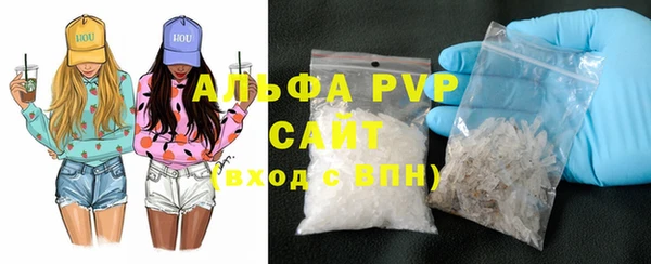 шишки Белокуриха