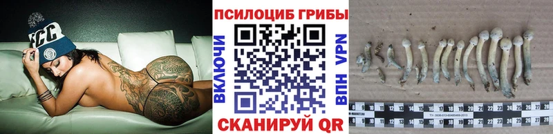 Галлюциногенные грибы Psilocybe  Купино 